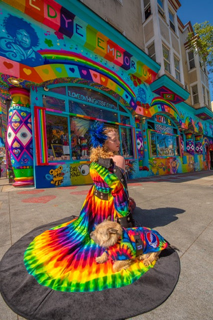 Take a Tour of the Haight Ashbury with Sunshine 