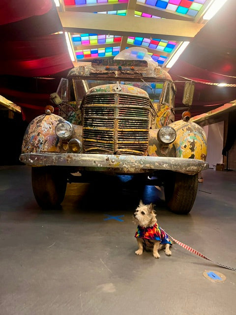 Forever Grateful Comes to Golden Gate Park ~ And Love on Haight Is Coming Along for the Ride!