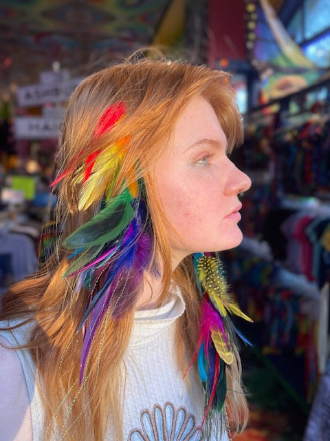 Feather Hair Clip #5 (Rainbow Chunky)